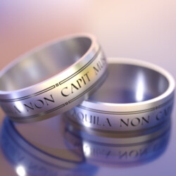 Титановое кольцо с Латинским выражением "Aquila non capit muscas"