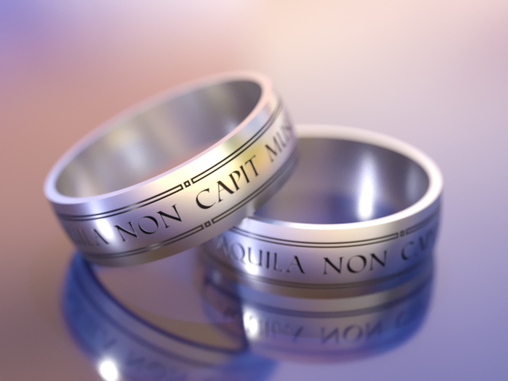 Aquila-non-capit-muscas